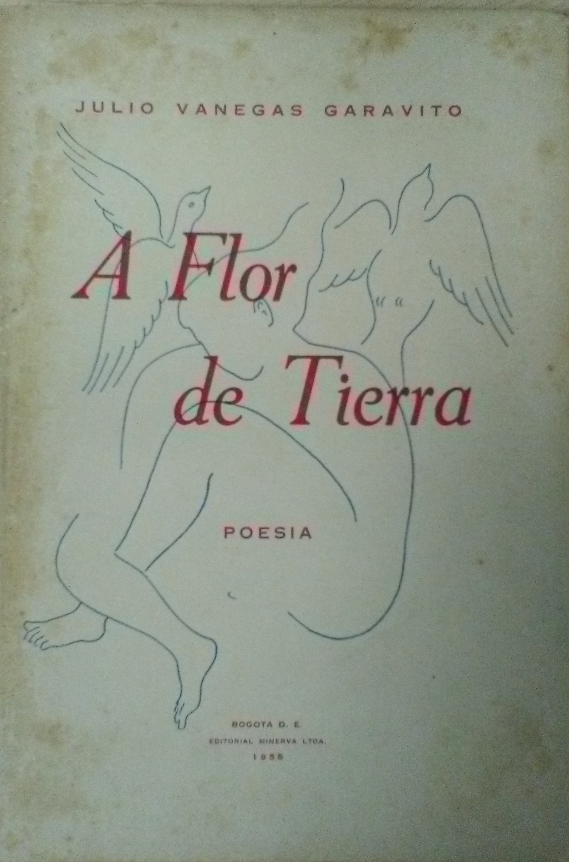 A flor de tierra